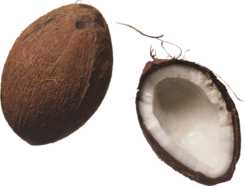 Coconut - 2 Coconut Clipart Png (800x608), Png Download