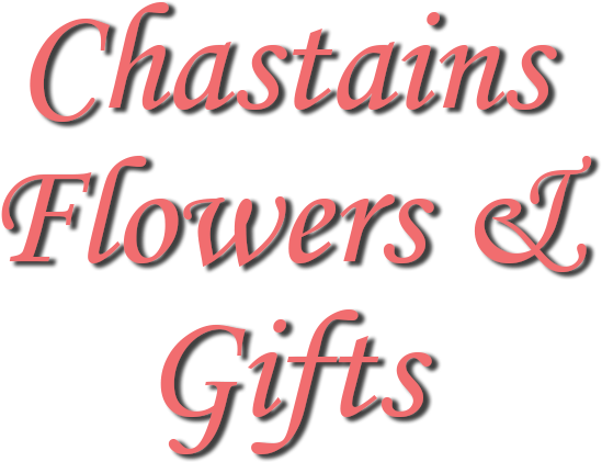 Chastains Flowers & Gifts - Calligraphy (722x432), Png Download