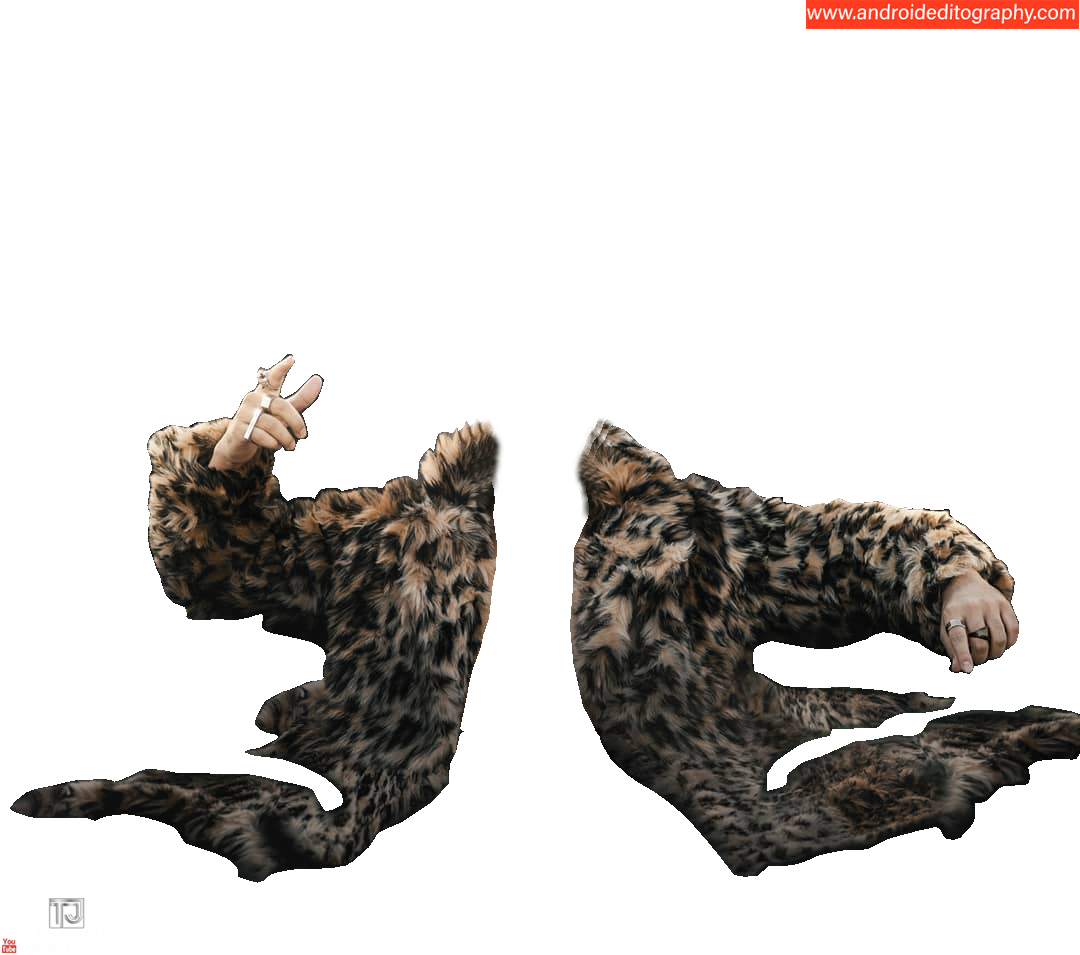 Cheetah Jacket Png - Cat Grabs Treat (1080x955), Png Download