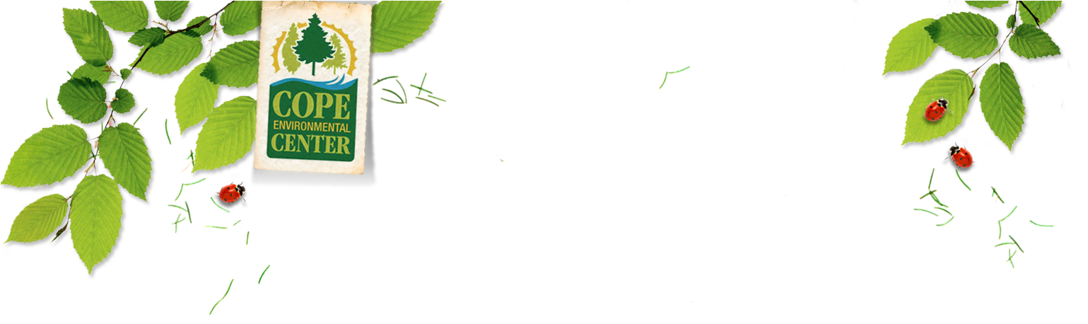 Leaves - Illustration (1701x457), Png Download