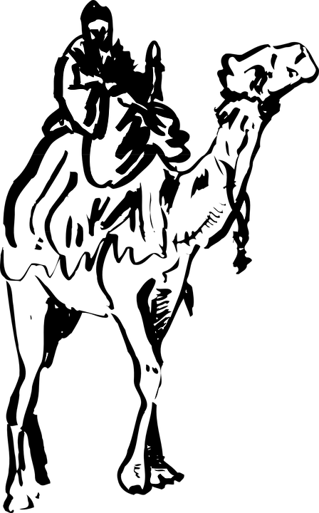 Camel Clipart Transportation - Camel Desert Png (448x720), Png Download