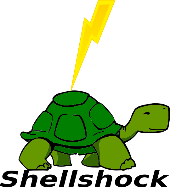 Turtle Cartoon Side View (540x594), Png Download