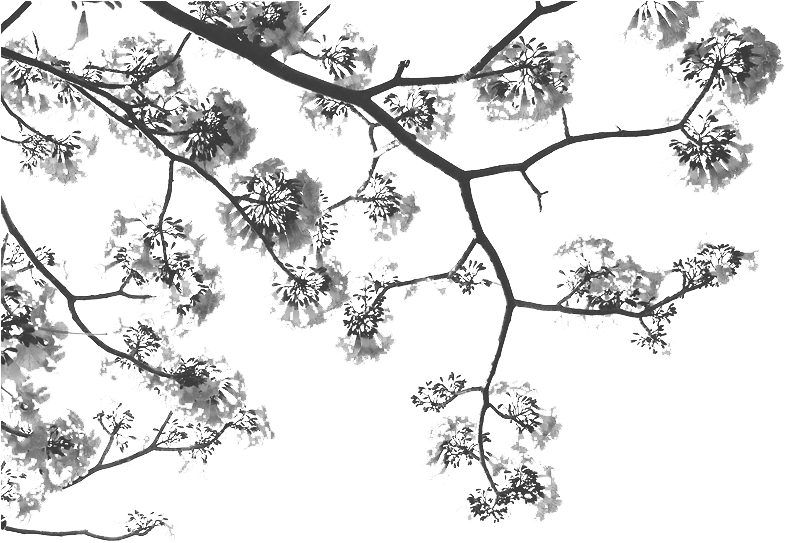 Bella And Edward Lockscreen (800x800), Png Download