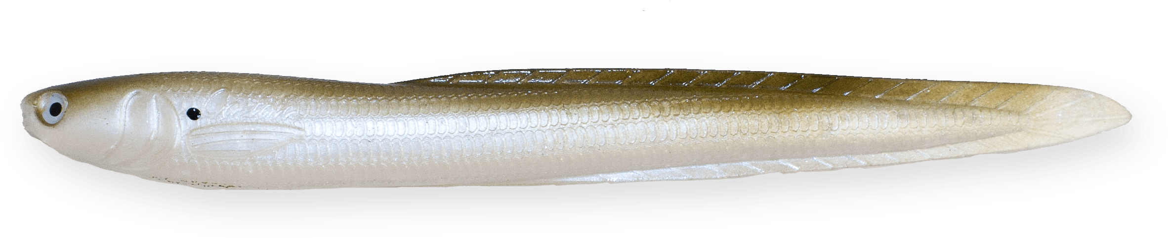 Green Shad - Lunge (2447x535), Png Download