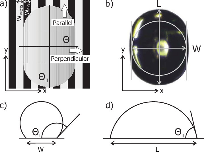 Color Online Quantifying Anisotropic Drops - Circle (717x534), Png Download