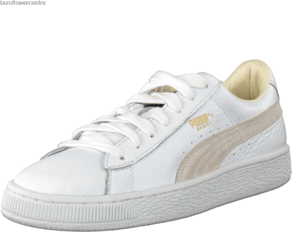 Skate Shoe (600x600), Png Download