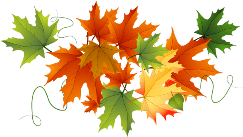 Free Png Download Autumn Transparent Leaves Clipart - Fall Leaves No Background (850x499), Png Download