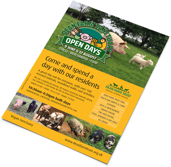 Flyer (600x585), Png Download