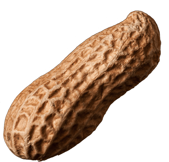 Sunflower Seeds Fried Corn Peanuts - Cacahuete Png (734x692), Png Download