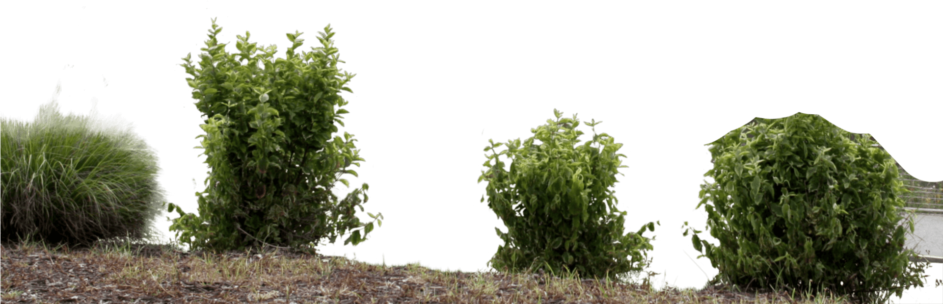 Skip To Content - Larch (1920x1080), Png Download