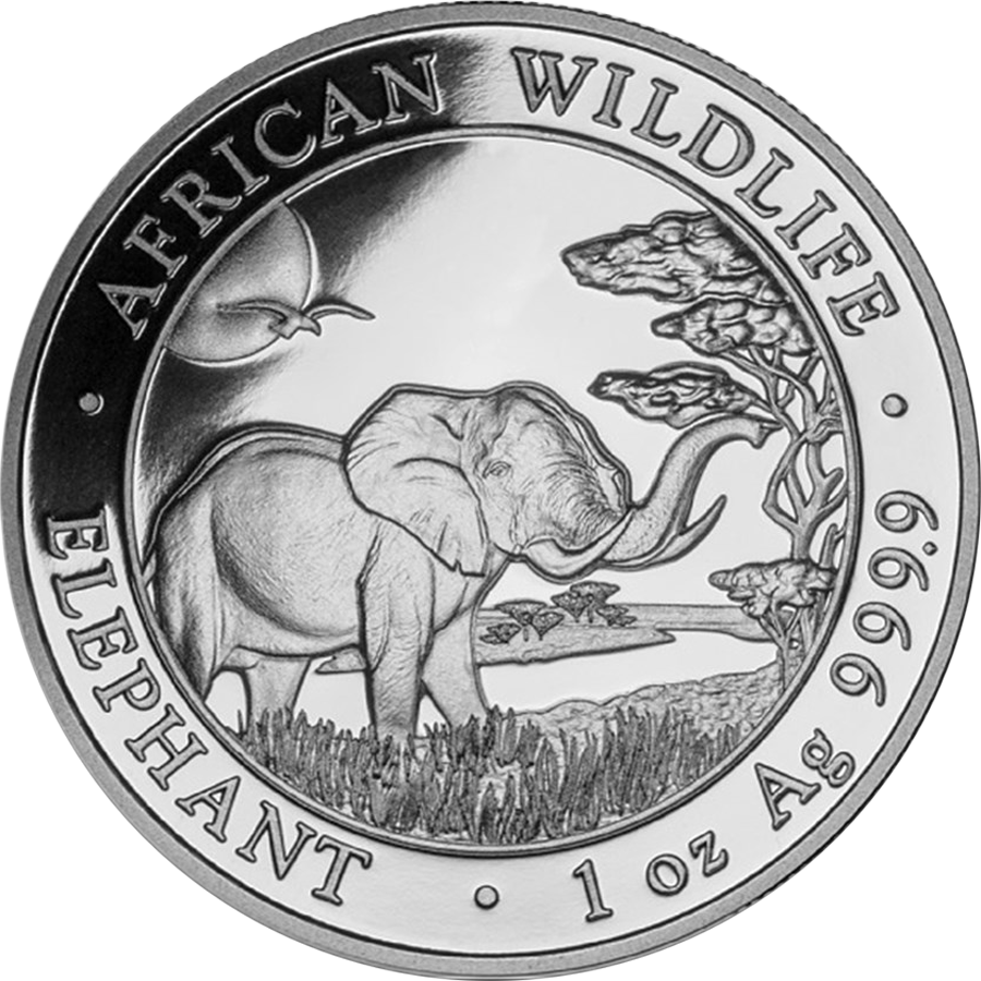 2019 Somalian Elephant 1oz Silver Coin - Elephant Coin (900x900), Png Download