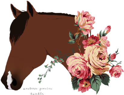 Png Horse (500x468), Png Download