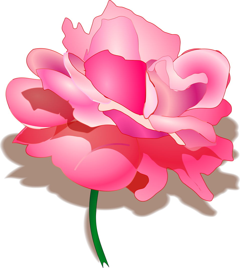 Pink Rose Clipart Beautiful Flower - Happy Raksha Bandhan Shayari (958x1072), Png Download