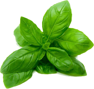 Basil - Poo-pourri Poo-tonium Spritz The Bowl Before You Go (400x378), Png Download
