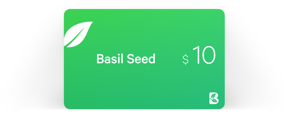 Basil Seed 10 - Basil (1000x398), Png Download