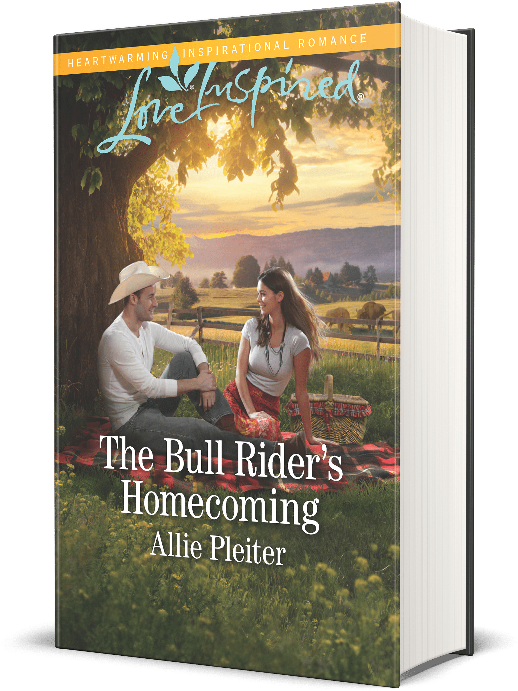 The Bull Rider's Homecoming - Flyer (4000x2667), Png Download