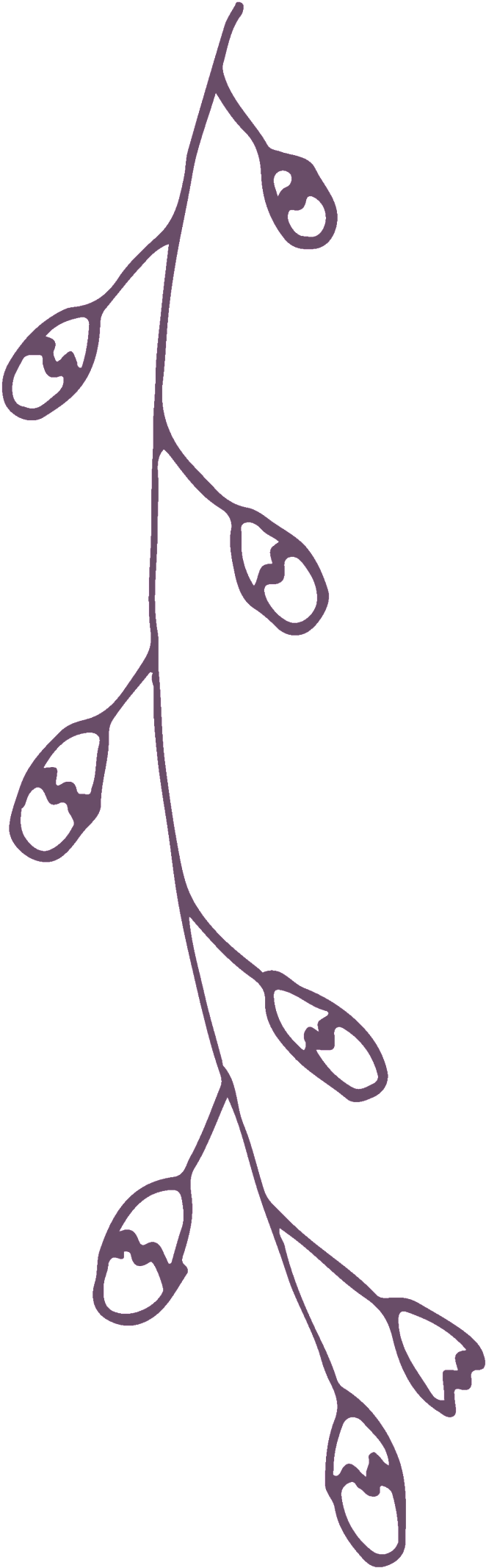 Simple And Elegant Lines Of Transparent Decorative - Flower (1024x2820), Png Download