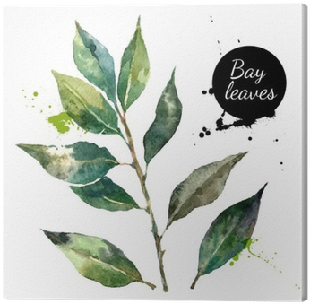 Kitchen Herbs And Spices Banner - Watercolor Painting (400x400), Png Download