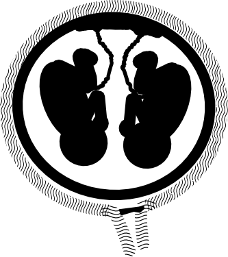 Mm-twins - Twin (333x375), Png Download