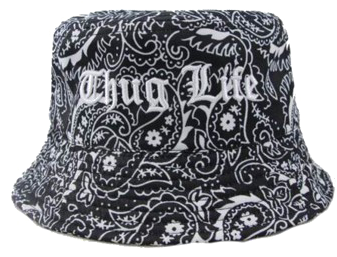 Thug Life Hat Transparent Images - Thug Life Hat Npg (454x303), Png Download