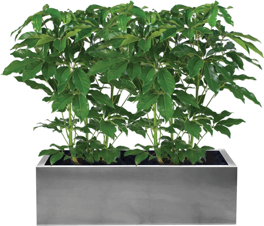 Planter Bo Png Ideas Of Whiskey Barrel Clip Art Freeuse (1250x1069), Png Download