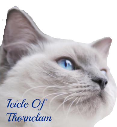 Icicle - Webbox Lick-e-lix Liver (435x421), Png Download