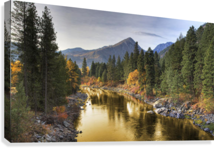 Composite Entitled 'river Of Gold' Taken From A Bridge - Fotoprint: Composite Entitled 'river Of Gold' Taken (428x296), Png Download