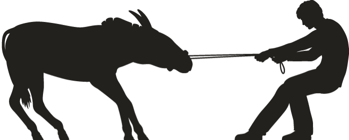 Mules-03 New - Silhouette Of A Mule (698x281), Png Download