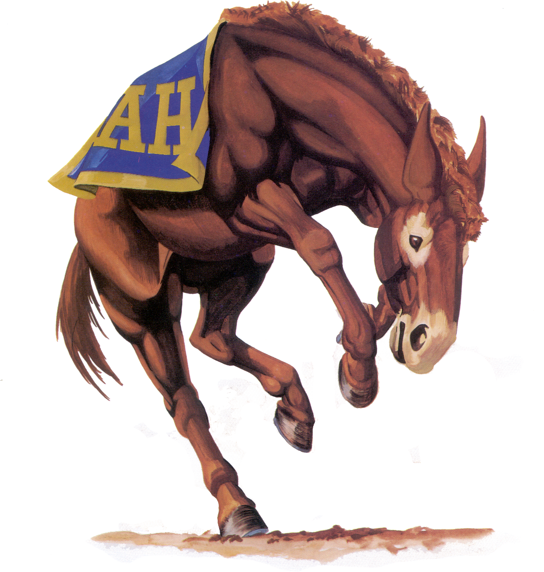 Bucking Mule 300 Dpi / Rgb / Png - Alamo Heights Mules Logo (1884x1981), Png Download