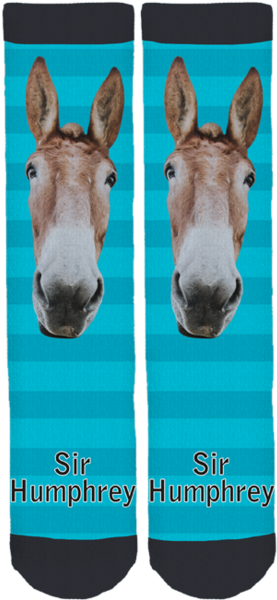 Humphrey The Mule Crew Socks - Burro (284x599), Png Download