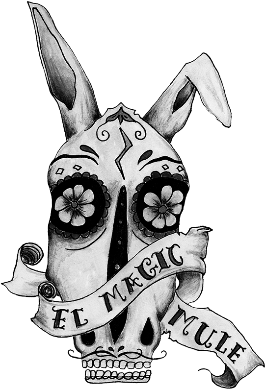 The 'magic Mule', Your All Round Workhorse, Initially - Illustration (626x812), Png Download