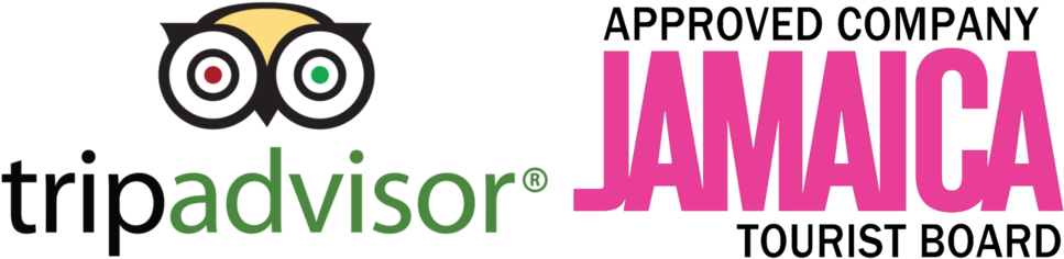 Jujuawardslogos - Portable Network Graphics (1000x257), Png Download