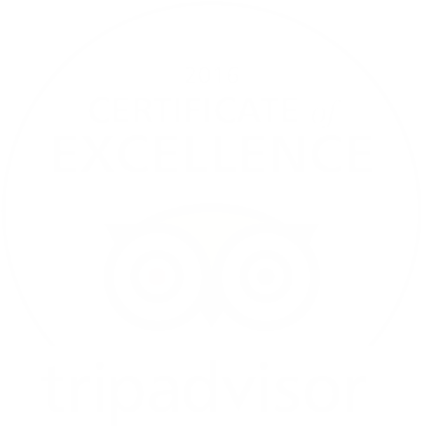 Awards - Trip Advisor (620x620), Png Download