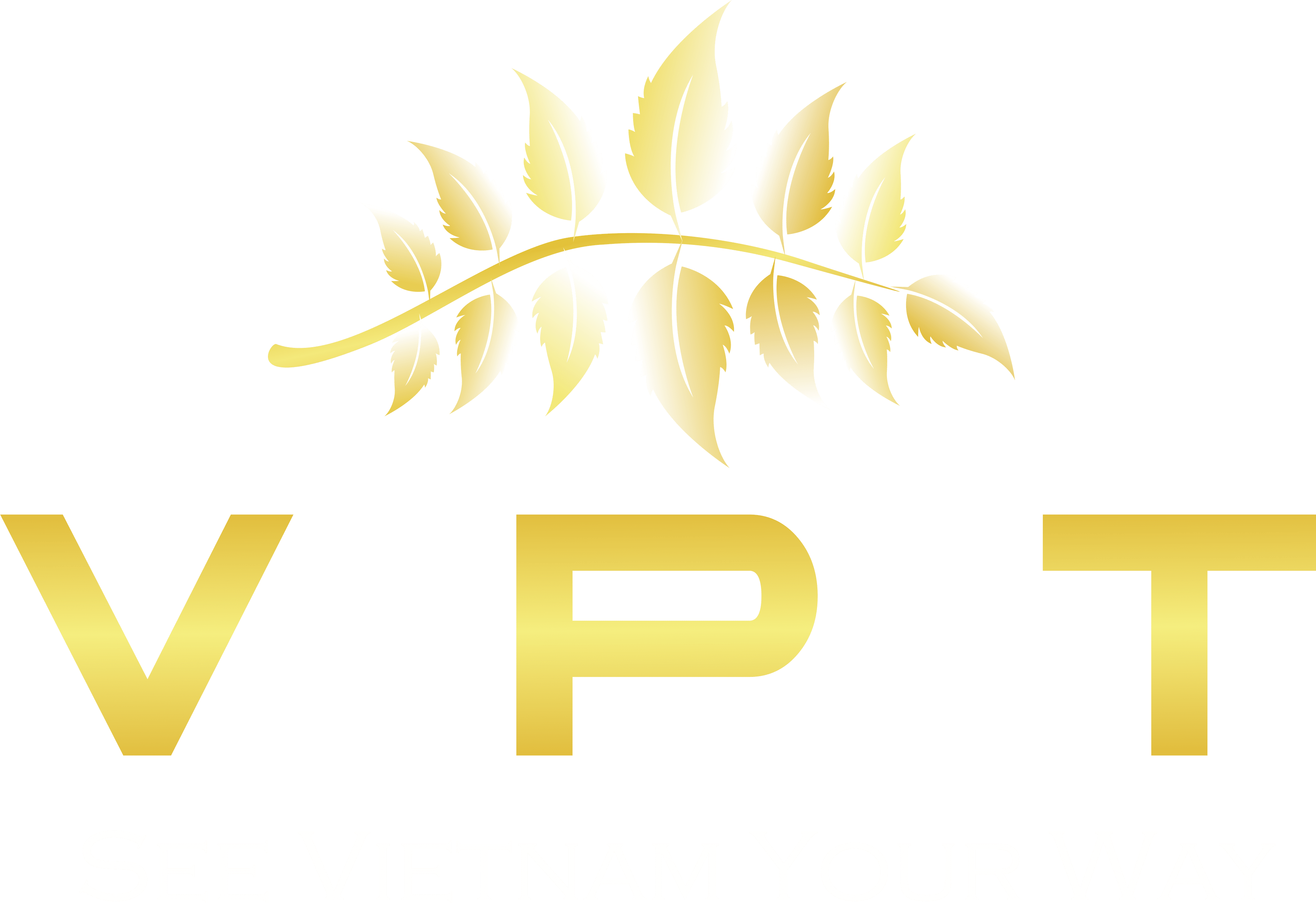 Logo - Vietnamese Private Tours Co., Ltd (3708x2544), Png Download