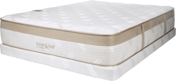 Free Mattress Removal - Mattress (606x278), Png Download