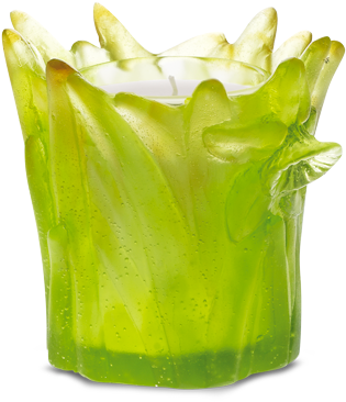 Daffodils Candle - Jonquille (600x600), Png Download