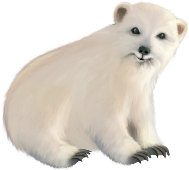 Polar White Bear Png - Png Baby Polar Bear (650x586), Png Download