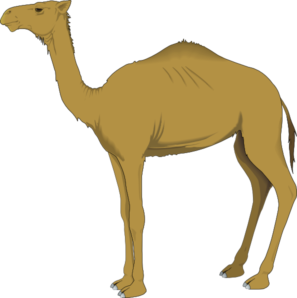 You Can Use These Free Bear Cliparts For Your Documents, - Camel Clipart Png (594x596), Png Download