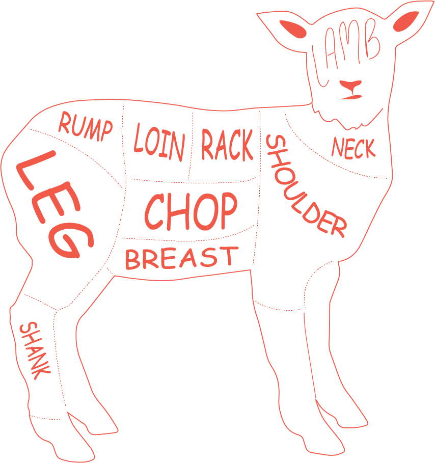 Lamb Loin Roast/saddle - Cartoon (854x909), Png Download