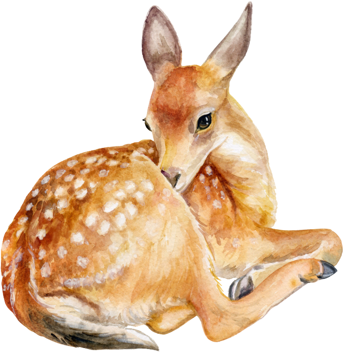 Deer Png Image - Deer Sitting (1000x895), Png Download