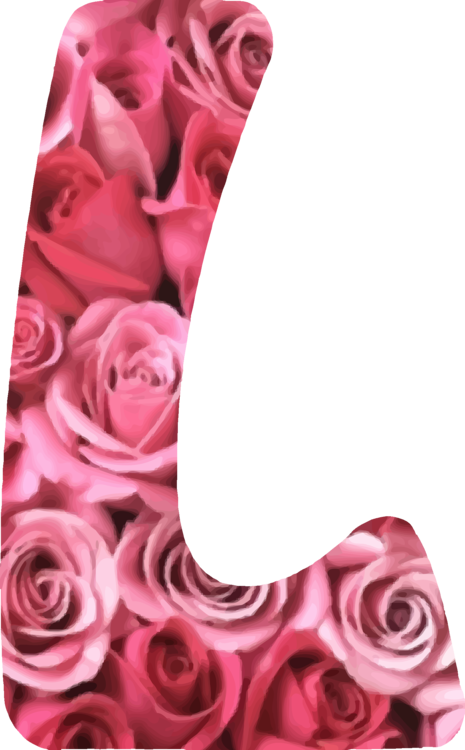 Garden Roses Cut Flowers Alphabet - Alphabet In Rose Flower (465x750), Png Download