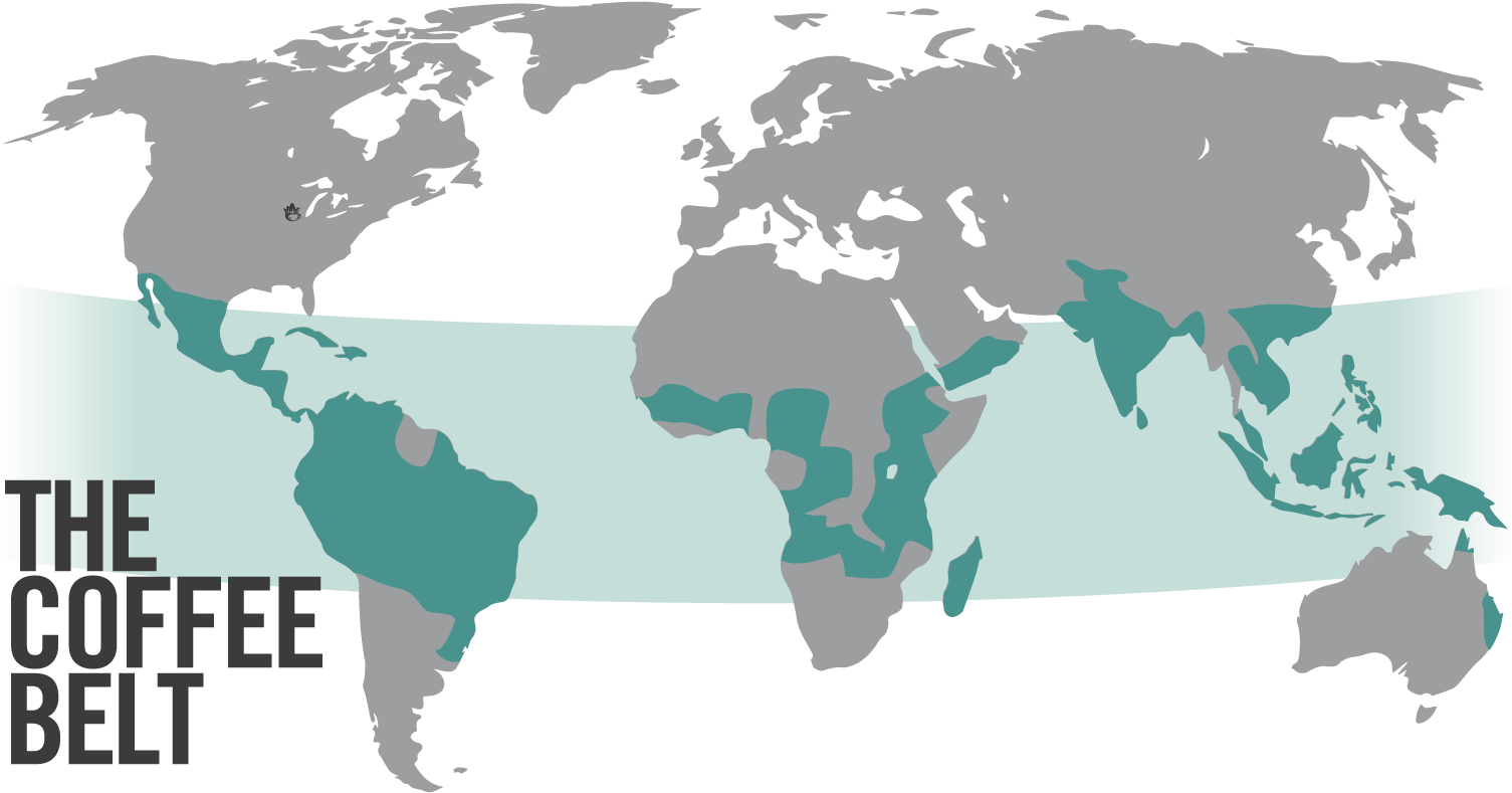 Today, Specialty Coffee Is Grown And Processed In Dozens - Capital Of The Whole World (1589x835), Png Download