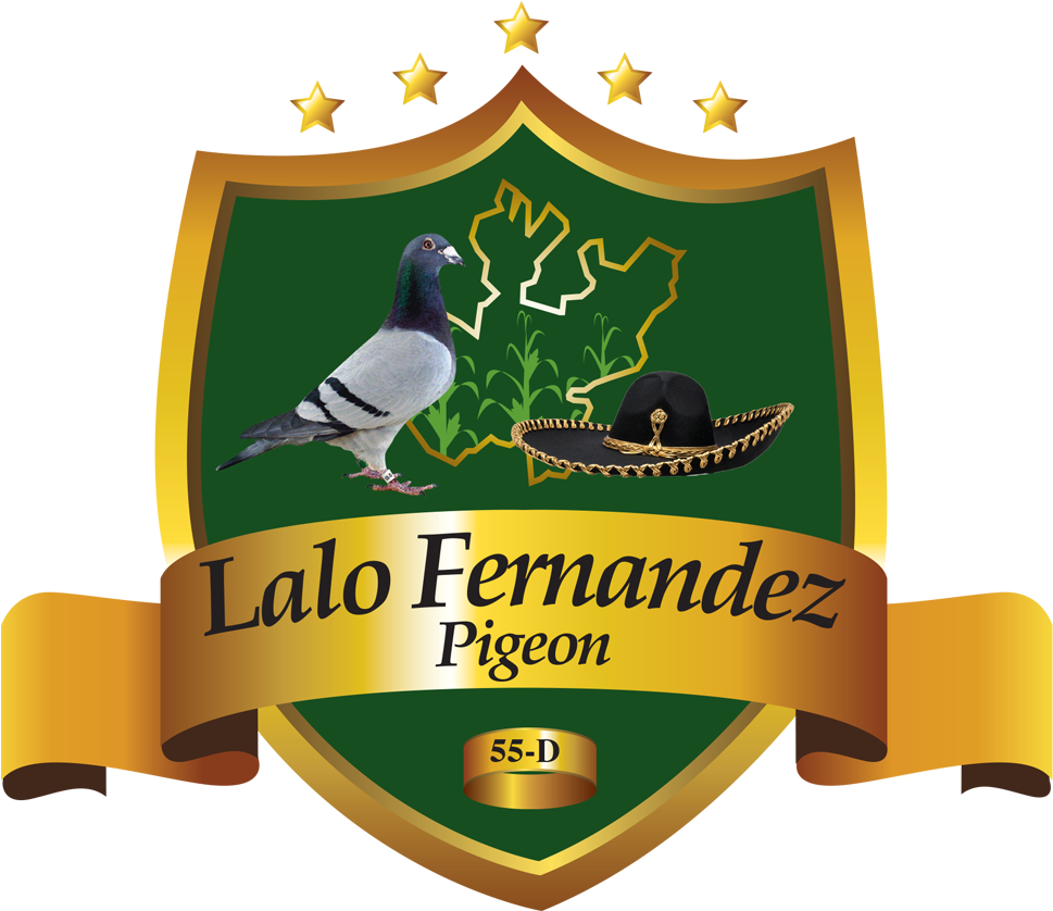 Lalo Fernandez - Illustration (1000x1000), Png Download