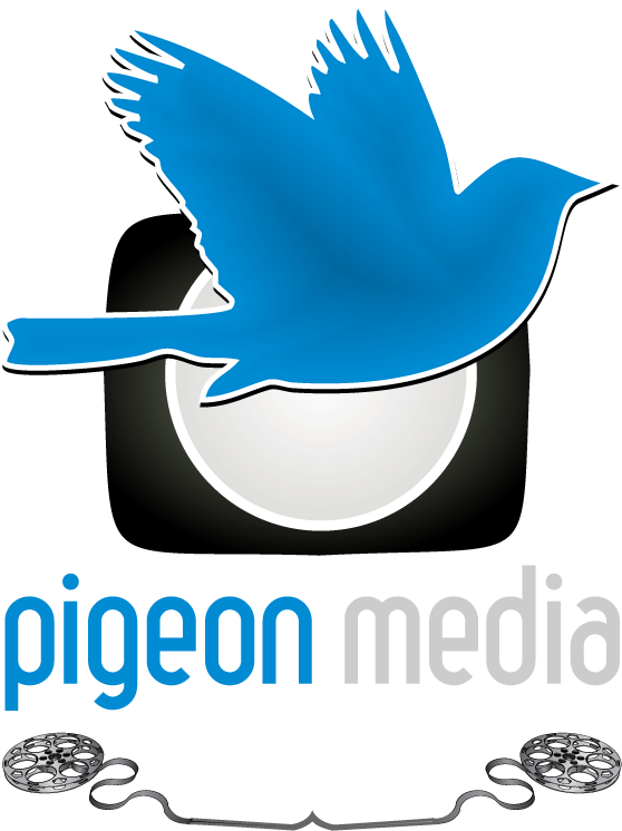 Pigeon (700x773), Png Download
