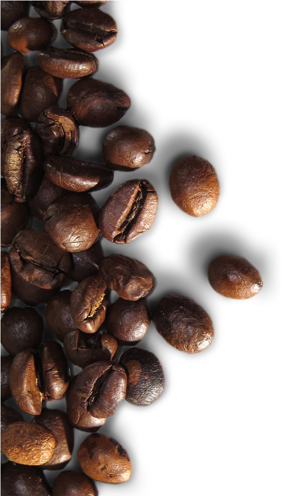 High Quality Coffee Beans - Macro Photography (587x1000), Png Download