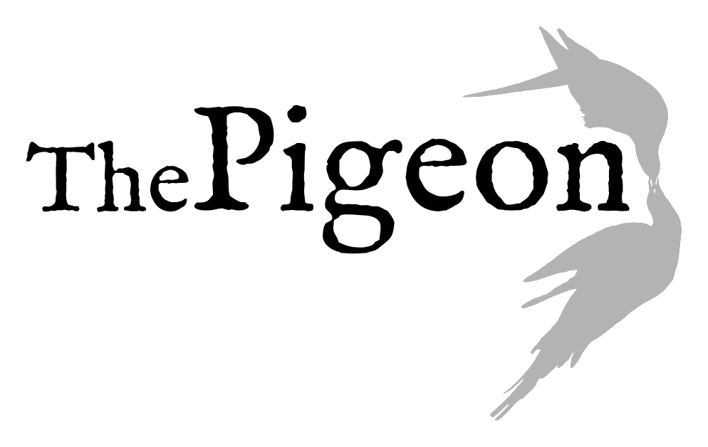 Roundup - Parrot (1070x654), Png Download