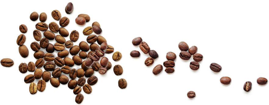 Element - Coffee Bean (904x364), Png Download