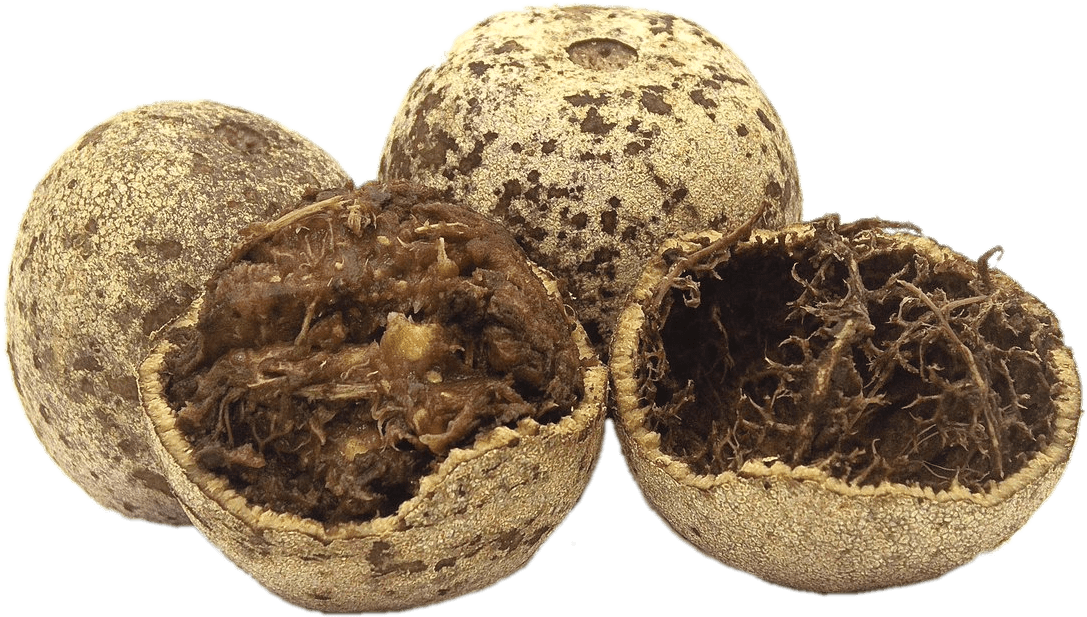 Fruits - Wood Apple Fruit Juice (1200x799), Png Download