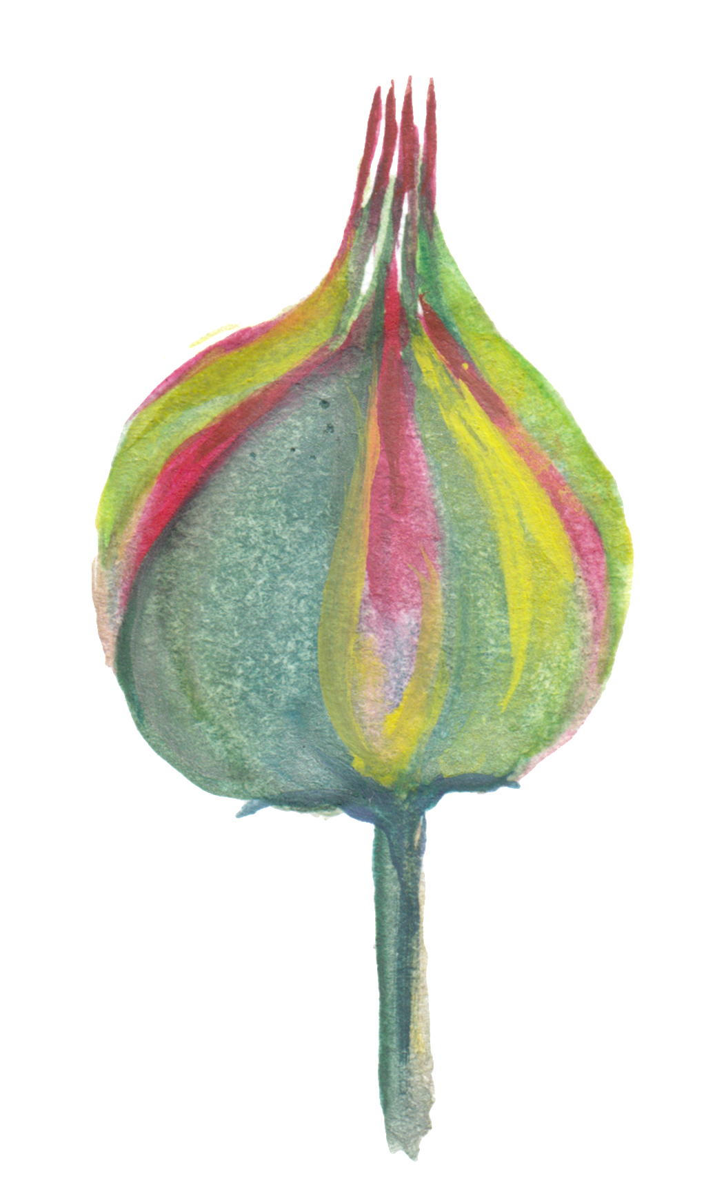 Camouflage Flower Transparent Decorative - Vegetable (1024x1743), Png Download