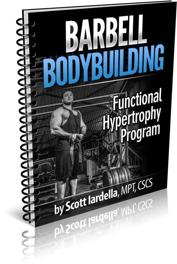 3d Bb Body - Flyer (764x1024), Png Download